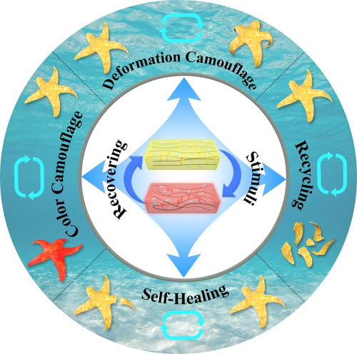 中國科學家研發出海星仿生軟體機器人 兼具自然偽裝與斷肢重生能力