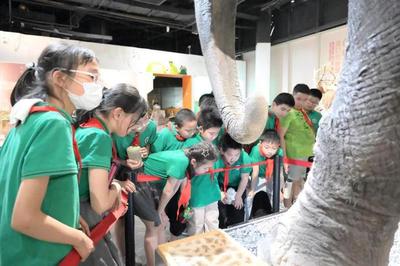 揭秘自然來信，共建綠色家園 | 青少年科學講壇引領自然探索新風尚