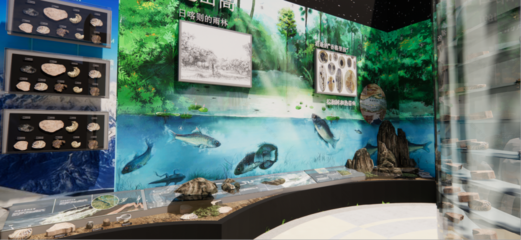 青藏高原綜合科學考察與研究古生物展廳 在拉薩之巔，探尋生命演化的史詩